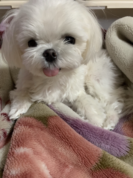 昼寝