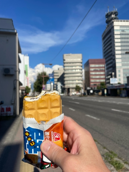 チョコモナカ