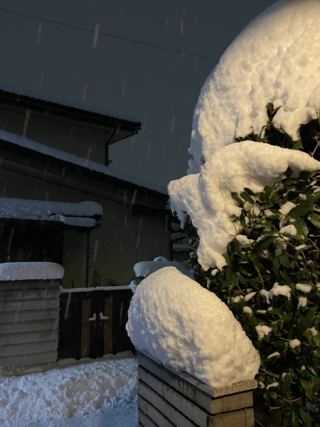 雪かき