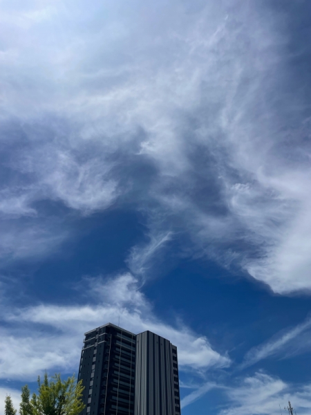 雲