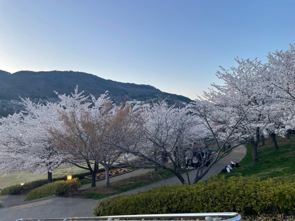 城山公園